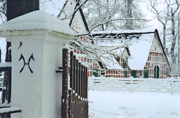 Winter auf Gut Neuensteden 