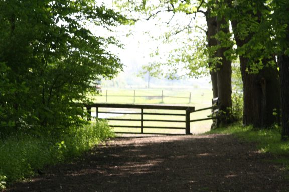 Tor zu unseren Hofweiden