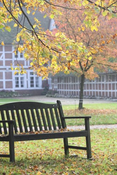 Herbst auf Gut Neuensteden